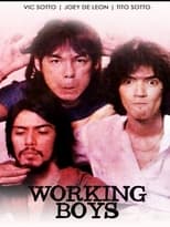 Poster for Working Boys