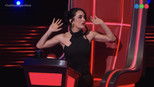 La Voz Argentina 5x50 (S05E50)