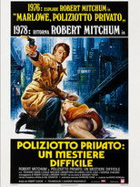 Poliziotto privato: un mestiere difficile