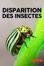 Das große Insektensterben