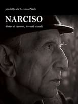 Poster for Narciso, Dietro i Cannoni, Davanti ai Muli