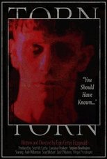 Torn main poster