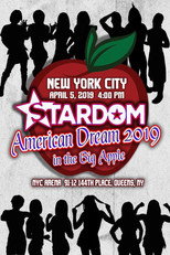 Stardom American Dream in the Big Apple poster