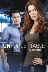 Poster for Unforgettable Season 3