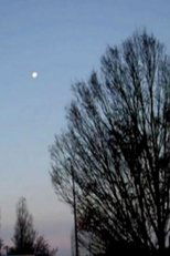 Mireuil Meander Mireuil Meander