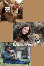 Wild Animal Reunions poster