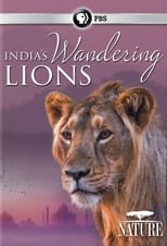 Poster for India's Wandering Lions