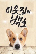 이웃집의 백호 poster