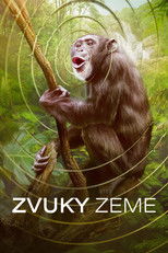 Zvuky Zeme
