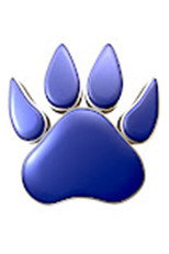 Blue Paw Print poster