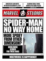 Imagen de Spider-Man: Todos los caminos conducen a No Way Home
