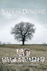 Carátula 