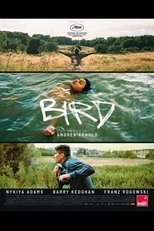 Bird poster