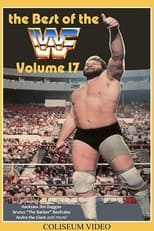 Poster for The Best of the WWF: volume 17