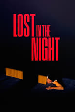 Poster for Lost in the Night 