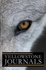 Poster for Yellowstone Journals