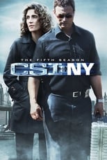 Poster for CSI: NY Season 5