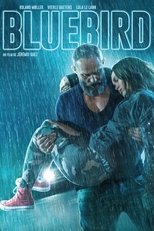 Bluebird poster