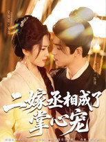 二嫁丞相成了掌心宠 poster