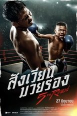 5th Round (2024)