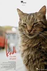 Poster di Kedi - La città dei gatti