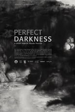 Poster for Perfect Darkness 