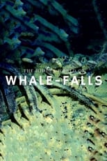 Poster di The Stages of Whale Decomposition