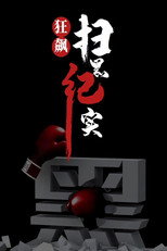 狂飙-扫黑纪实 poster
