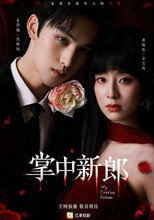 掌中新郎 poster