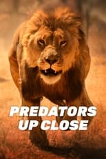 Poster for Predators Up Close with Joel Lambert