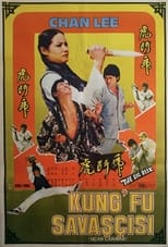 Poster for Kung Fu Conspiracy