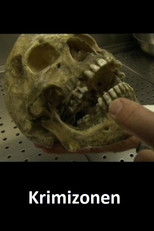 Krimizonen (2002) poster