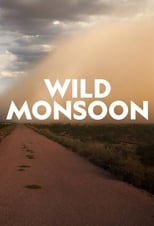 Poster for Wild Monsoon