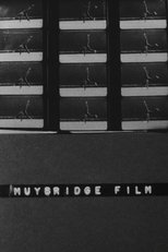 Muybridge Film Muybridge Film