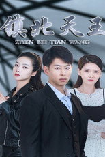 镇北天王 poster