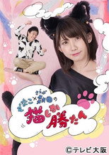 えなこ×さらば森田の猫しか勝たん poster