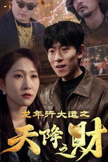 龙年行大运之天降之财 poster