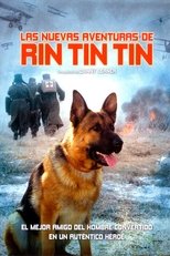 Finding Rin Tin Tin