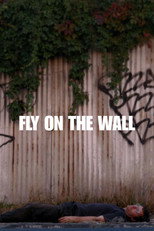 Fly on the Wall