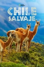 Chile Salvaje