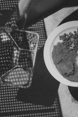 Sharon and the Birds on the Way to the Wedding