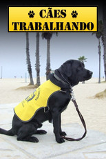 Blue-Collar Dogs (2011) poster