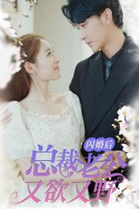 闪婚后总裁老公又欲又野 poster