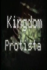 Poster for Kingdom Protista