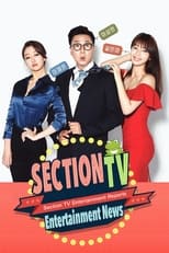 Poster for Section TV