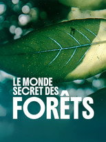 Le monde secret des for&ecirc;ts