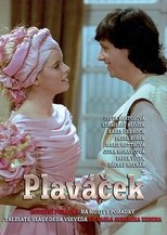 Plaváček poster movie