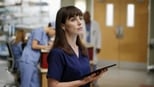 Grey’s Anatomy: 9 Temporada, Vivendo num Sonho
