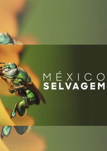 México Selvagem poster