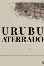 Urubu aterrado